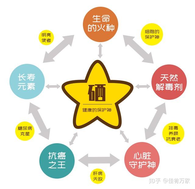 身体补硒该怎么补呢（身体补硒吃什么）-硒宝网