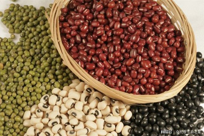 补硒补镁的最佳时间(补镁是补什么)-硒宝网