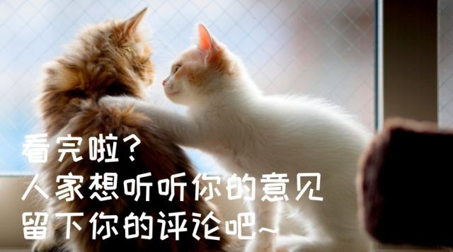 补硒补镁的最佳时间(补镁是补什么)-硒宝网