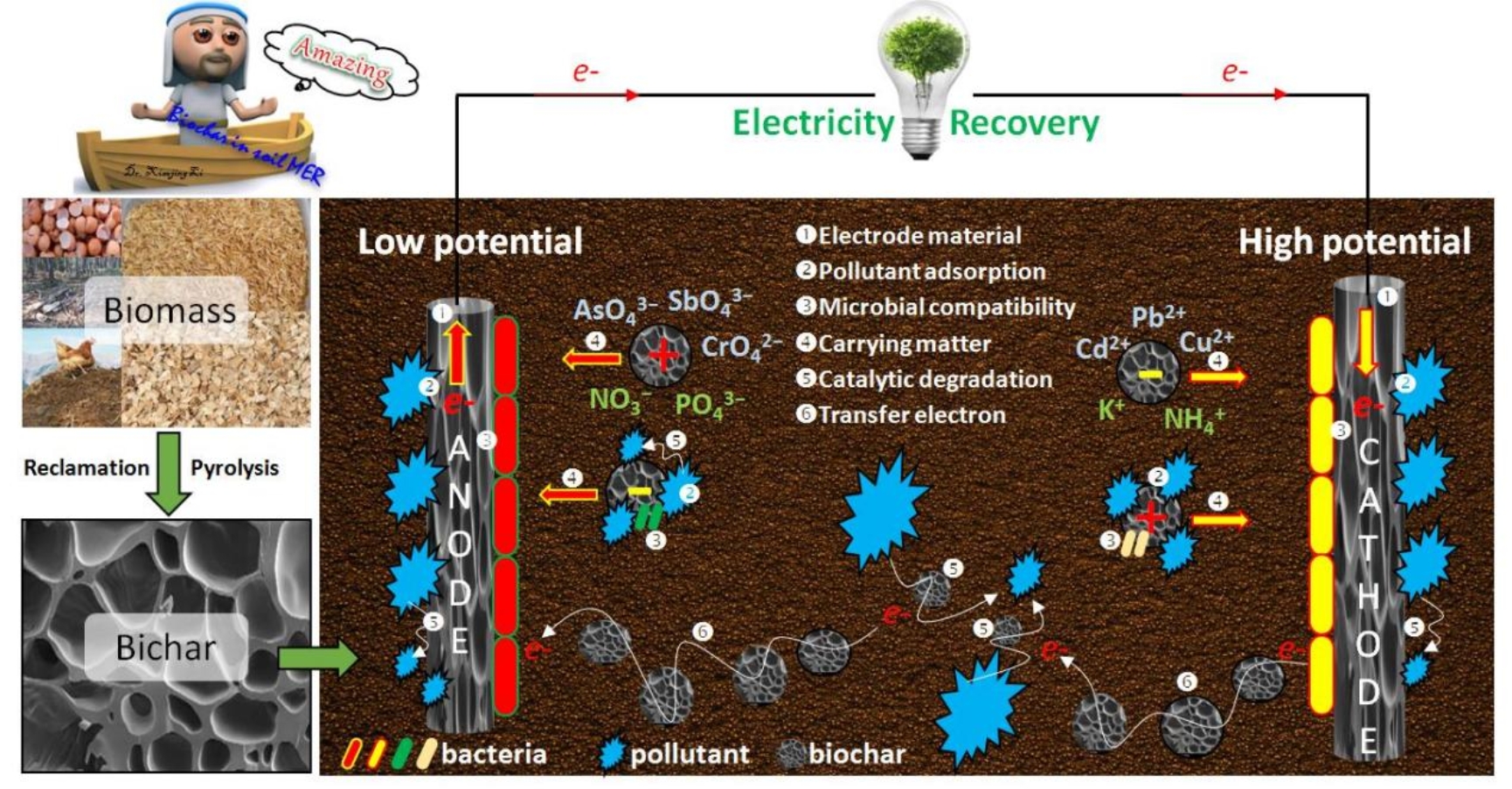 人体补硒会不会补多(人体补硒好吗)-硒宝网