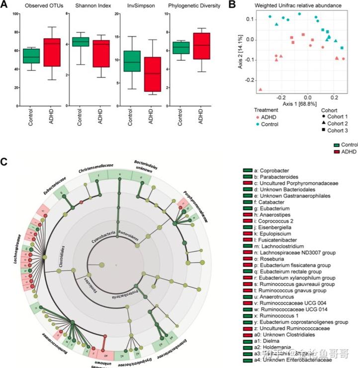 儿童补镁补硒吃什么(补镁儿童吃硒片好吗)-硒宝网