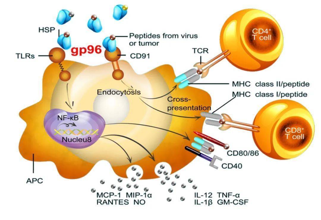 人体补硒会不会补多（人体硒补充多了有什么后遗症）-硒宝网