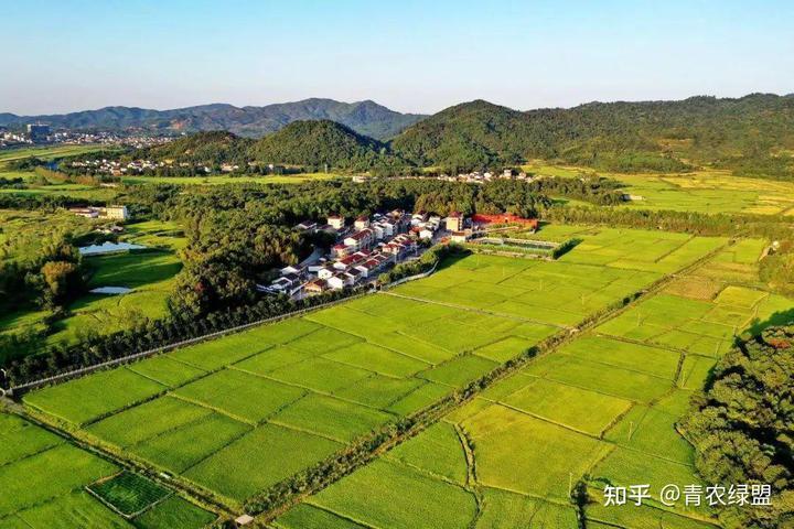 缺硒补多久能补起来（缺硒补什么好）-硒宝网