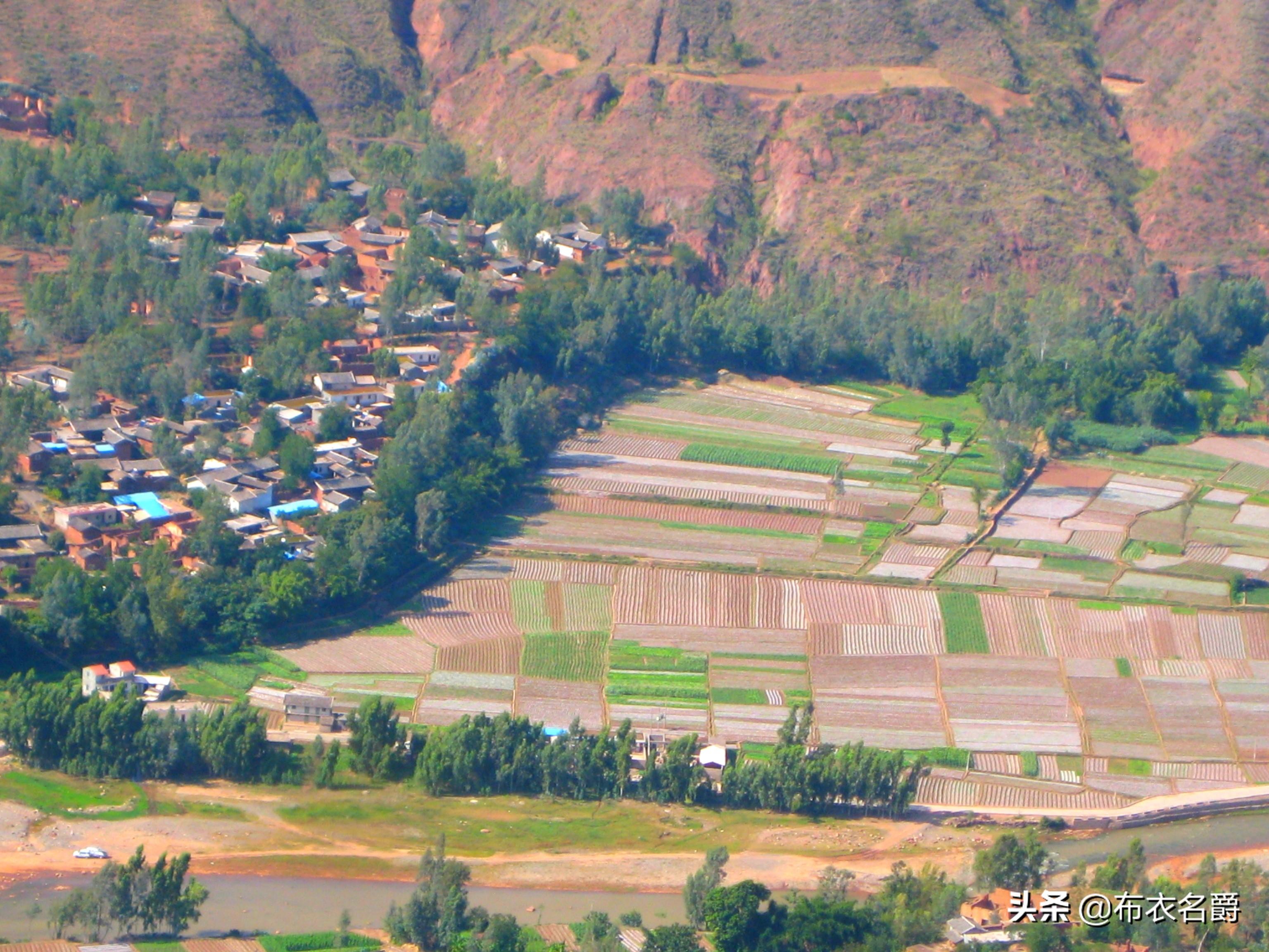 仔猪补硒补多少为宜（小猪补硒多少毫升）-硒宝网