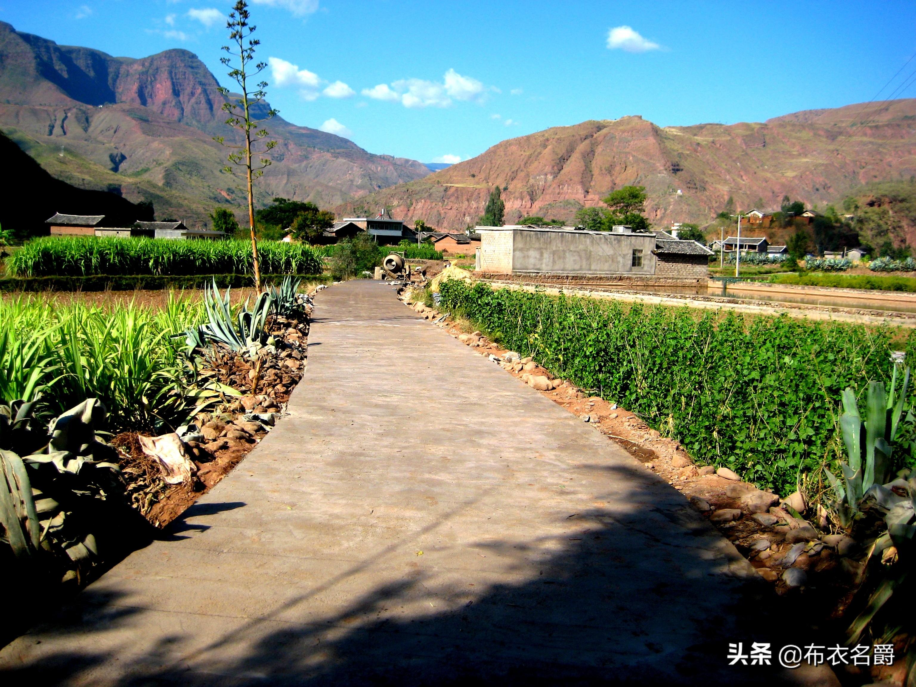 仔猪补硒补多少为宜（小猪补硒多少毫升）-硒宝网