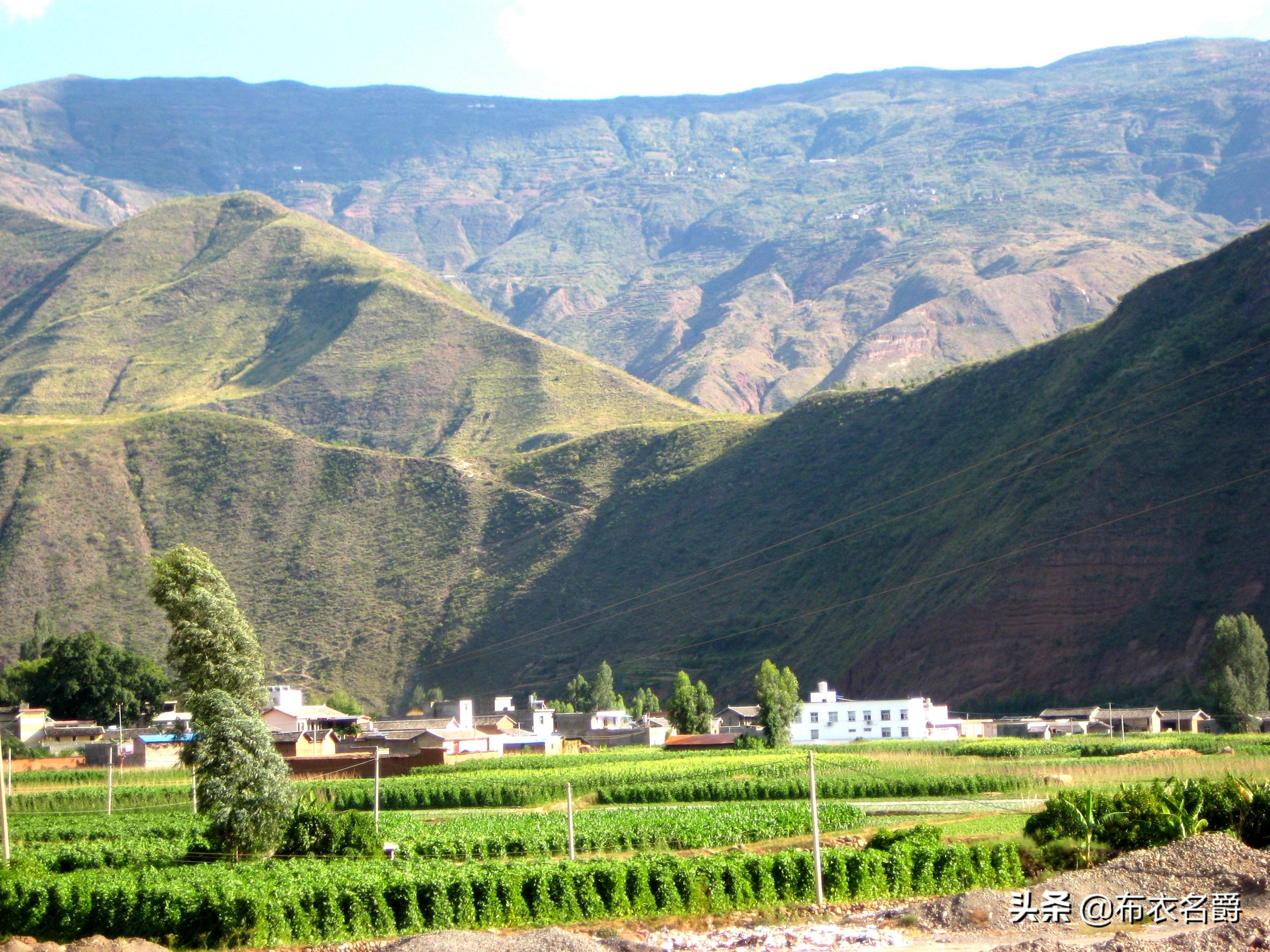 仔猪补硒补多少为宜（小猪补硒多少毫升）-硒宝网