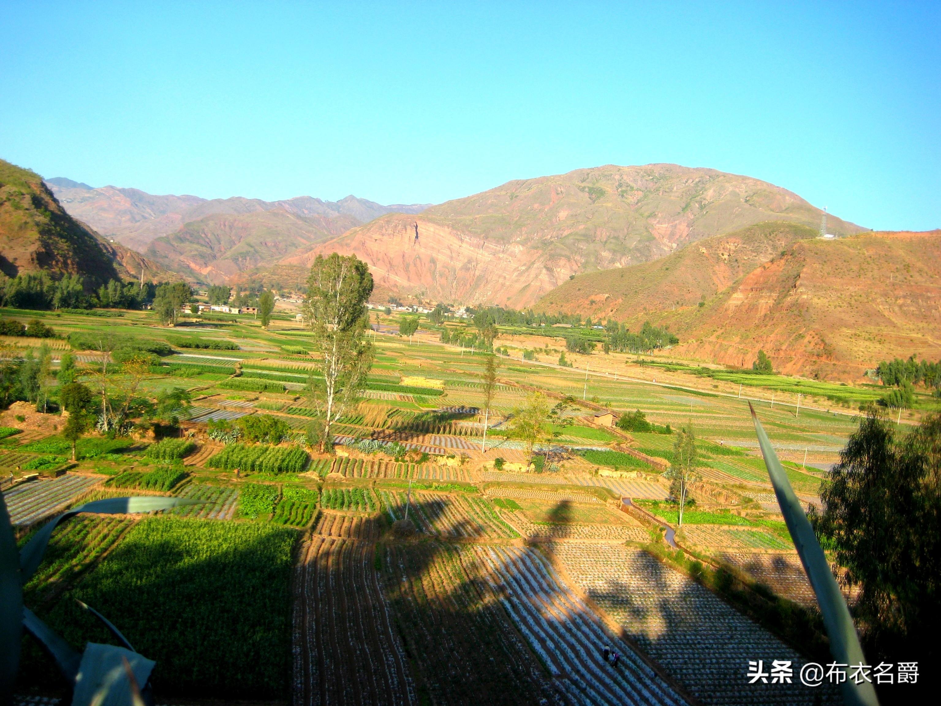 仔猪补硒补多少为宜（小猪补硒多少毫升）-硒宝网