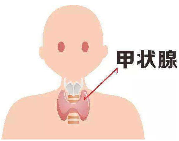甲状腺结节补硒好吗（甲状腺结节补硒）-硒宝网