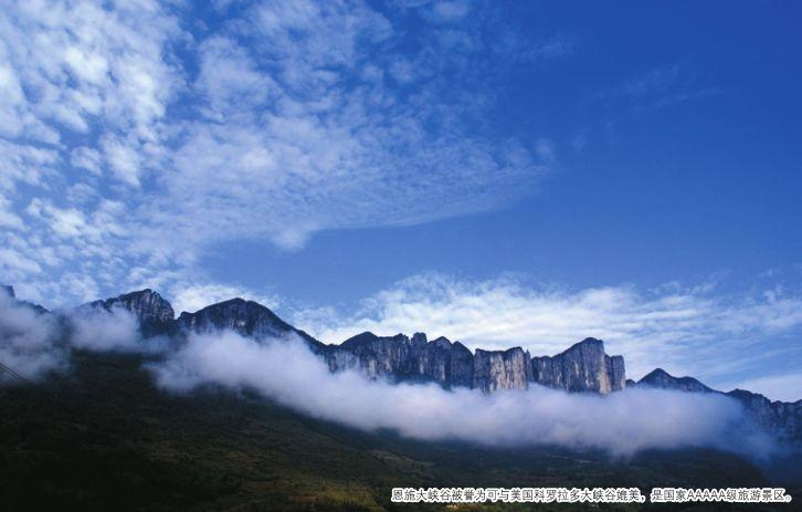 补硒 都有什么品牌(补硒产品哪个牌子好)-硒宝网