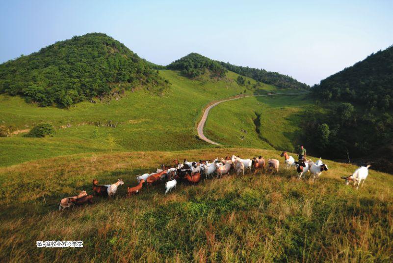 补硒 都有什么品牌(补硒产品哪个牌子好)-硒宝网