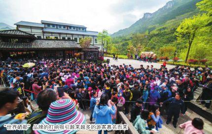 补硒 都有什么品牌(补硒产品哪个牌子好)-硒宝网