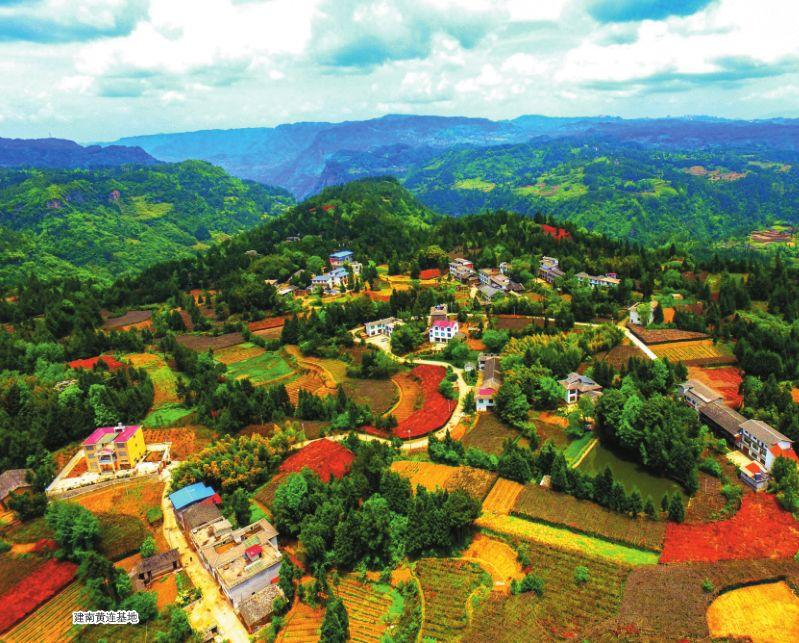 补硒 都有什么品牌(补硒产品哪个牌子好)-硒宝网