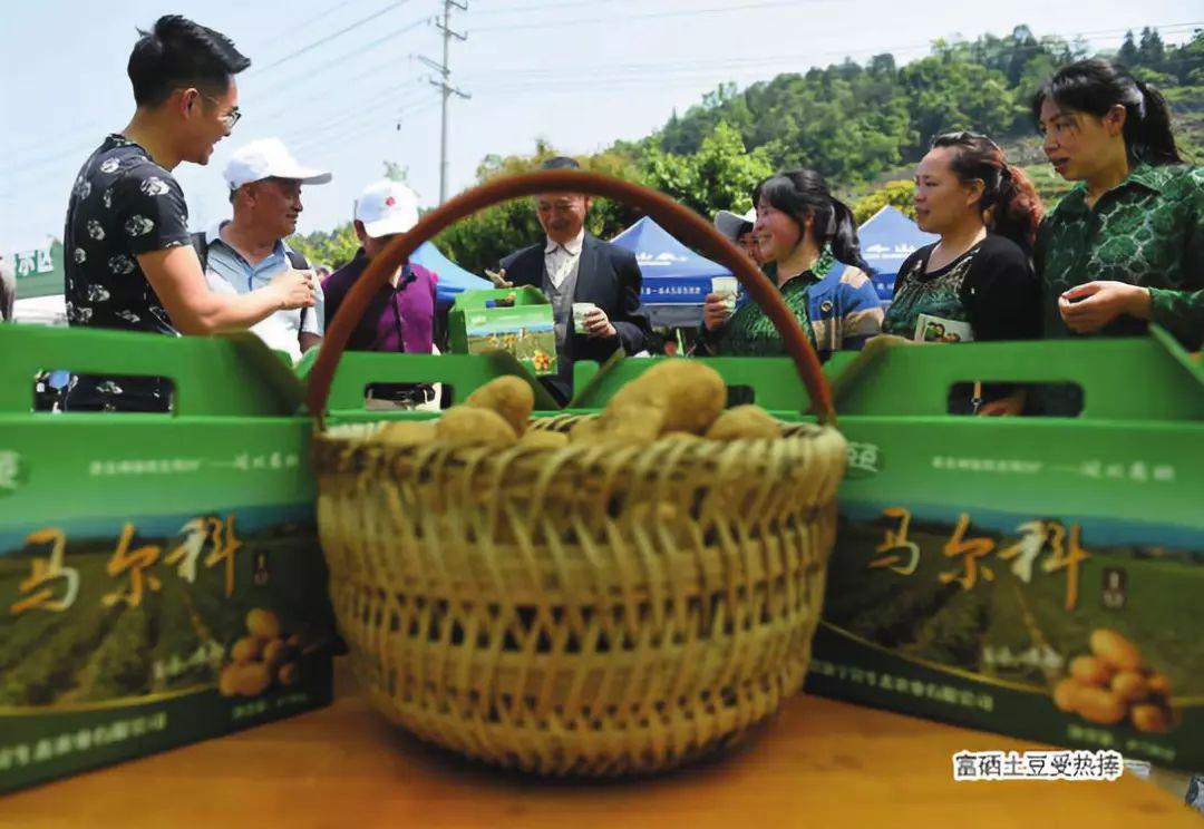 补硒 都有什么品牌(补硒产品哪个牌子好)-硒宝网