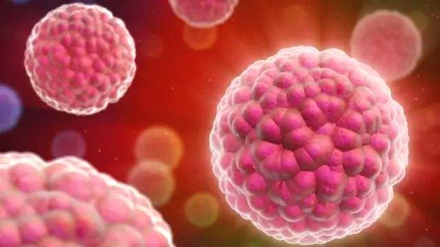 hpv补硒食物推荐(补充硒能抵抗hpv病毒吗)-硒宝网