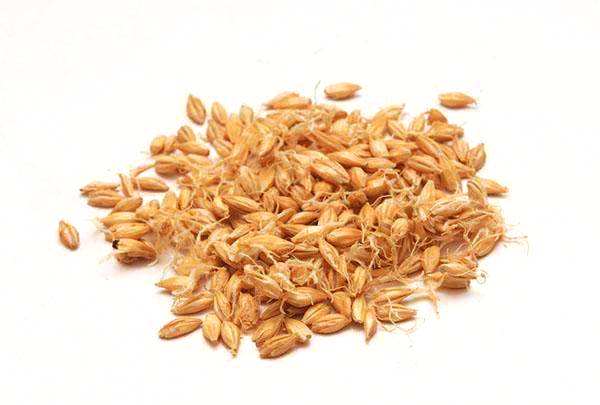 hpv补硒食物推荐(补充硒能抵抗hpv病毒吗)-硒宝网