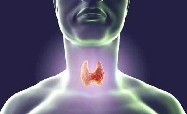 补硒降低甲状腺抗体（硒甲状腺抗体）-硒宝网