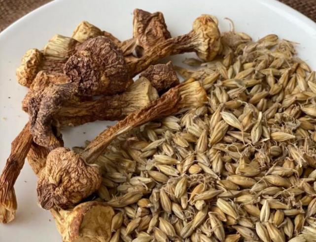 补硒预防hpv感染(补硒能有效的预防)-硒宝网