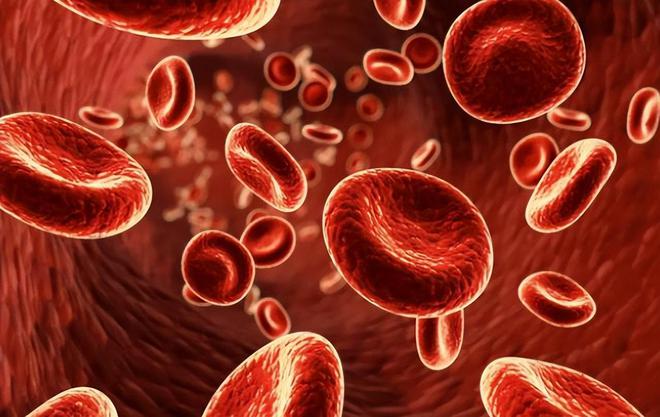 红枣补铁吗（红枣补铁效果好吗）-硒宝网