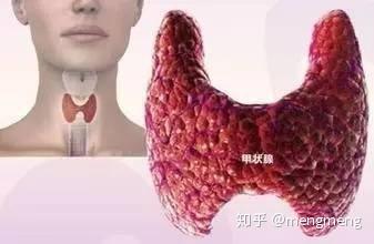 甲状腺不好可以补硒（甲状腺吃硒）-硒宝网