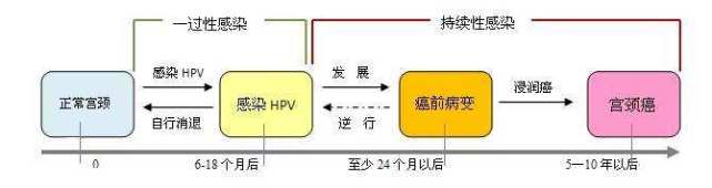 hpv感染需要补硒(hpv感染补硒补充维生素c)-硒宝网