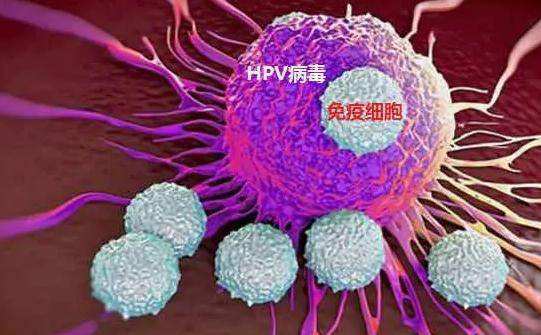 补硒元素预防hpv(硒元素预防癌症)-硒宝网