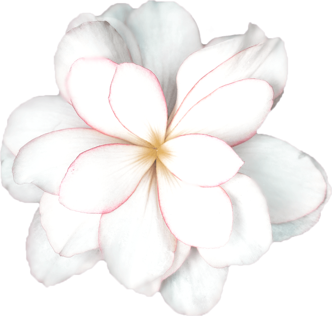 甲状腺结节怎么补硒(补甲状腺结节硒片有用吗)-硒宝网