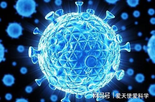 感染hpv补硒推荐(hpv感染补硒补充维生素c)-硒宝网