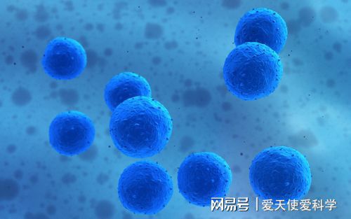 感染hpv补硒推荐(hpv感染补硒补充维生素c)-硒宝网