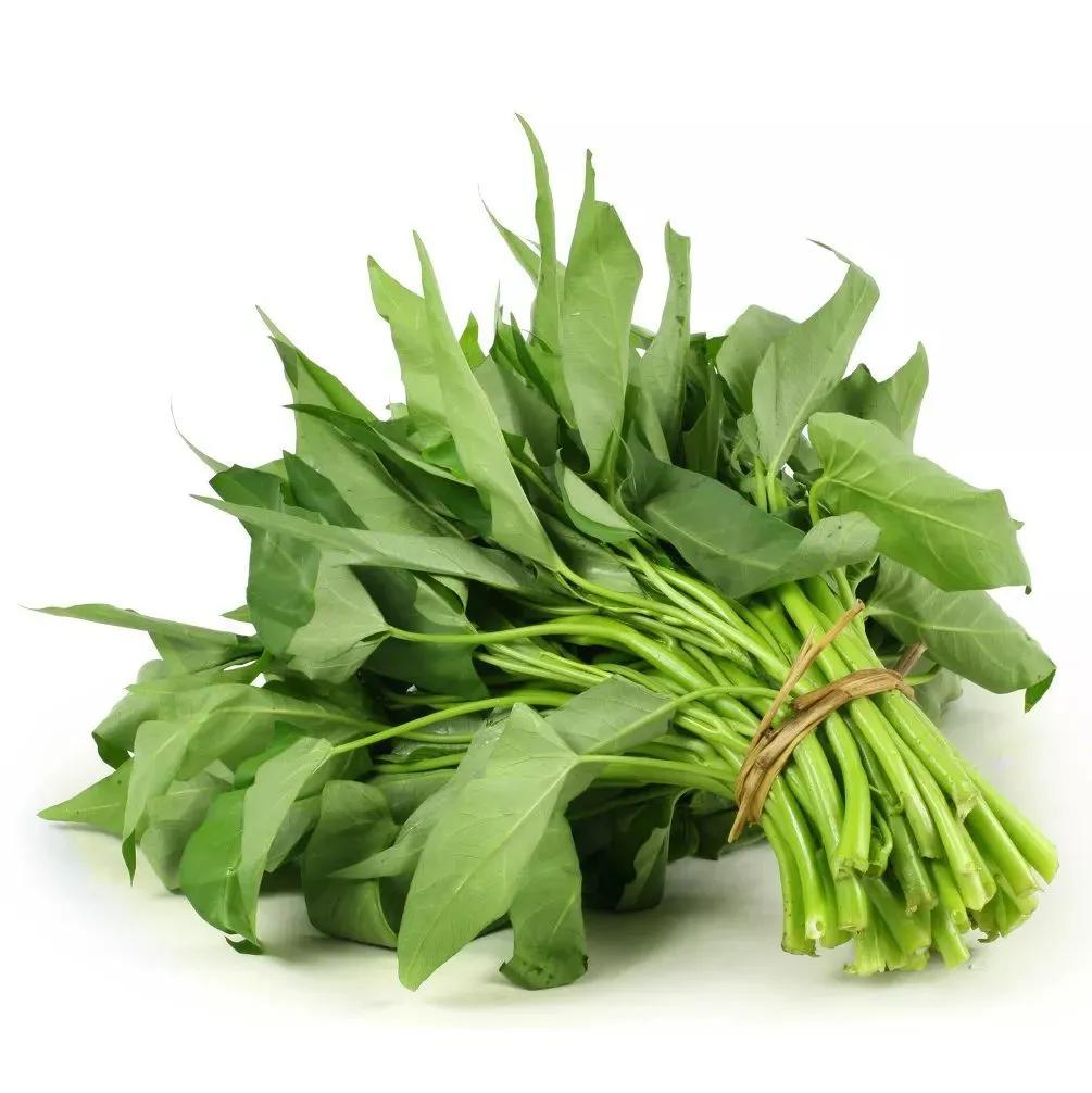 补钙蔬菜前十名（被称为蔬菜中的补钙王）-硒宝网