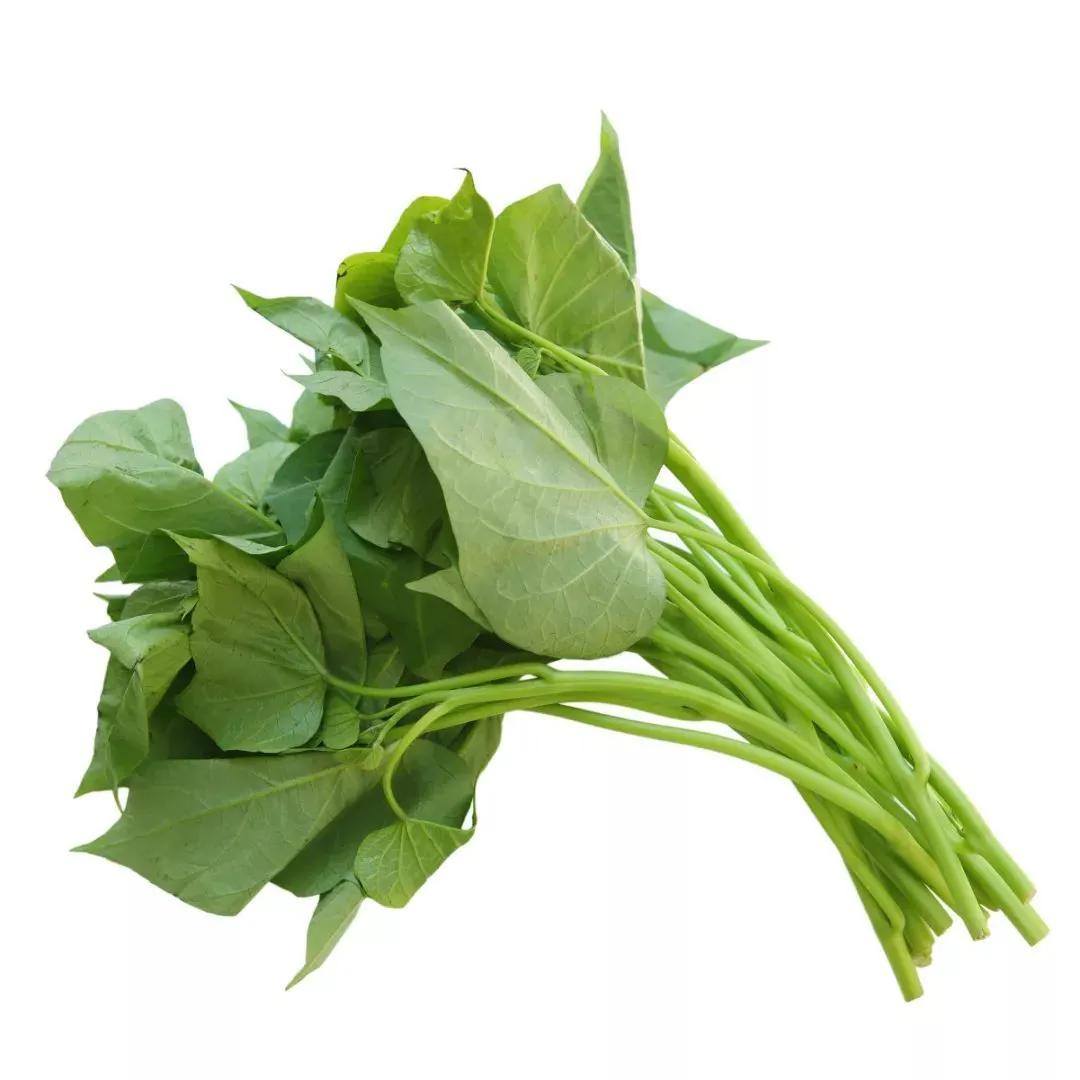 补钙蔬菜前十名（被称为蔬菜中的补钙王）-硒宝网