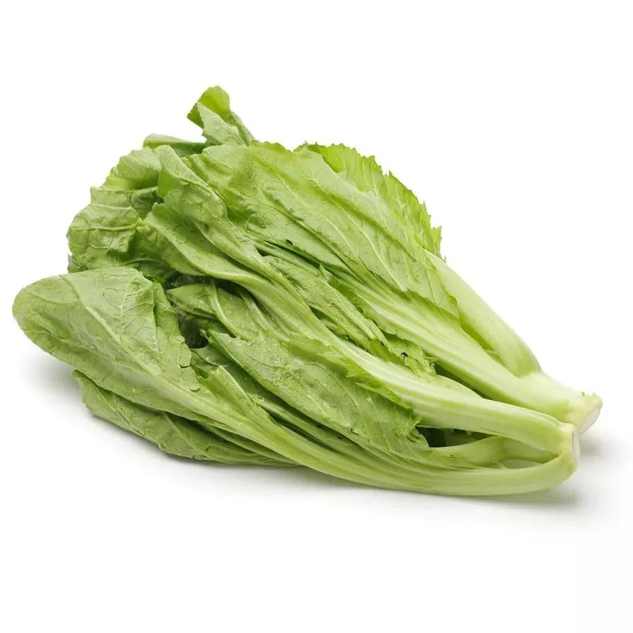 补钙蔬菜前十名（被称为蔬菜中的补钙王）-硒宝网