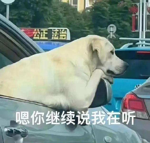 比牛奶还补钙的5种蔬菜(蔬菜补钙和牛奶补钙)-硒宝网