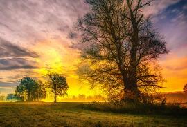 婴儿吃什么补钙最快最好(婴儿期补钙)-硒宝网