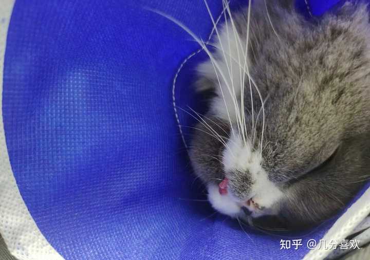 hpv感染高危补硒（hpv高危补硒有用吗）-硒宝网