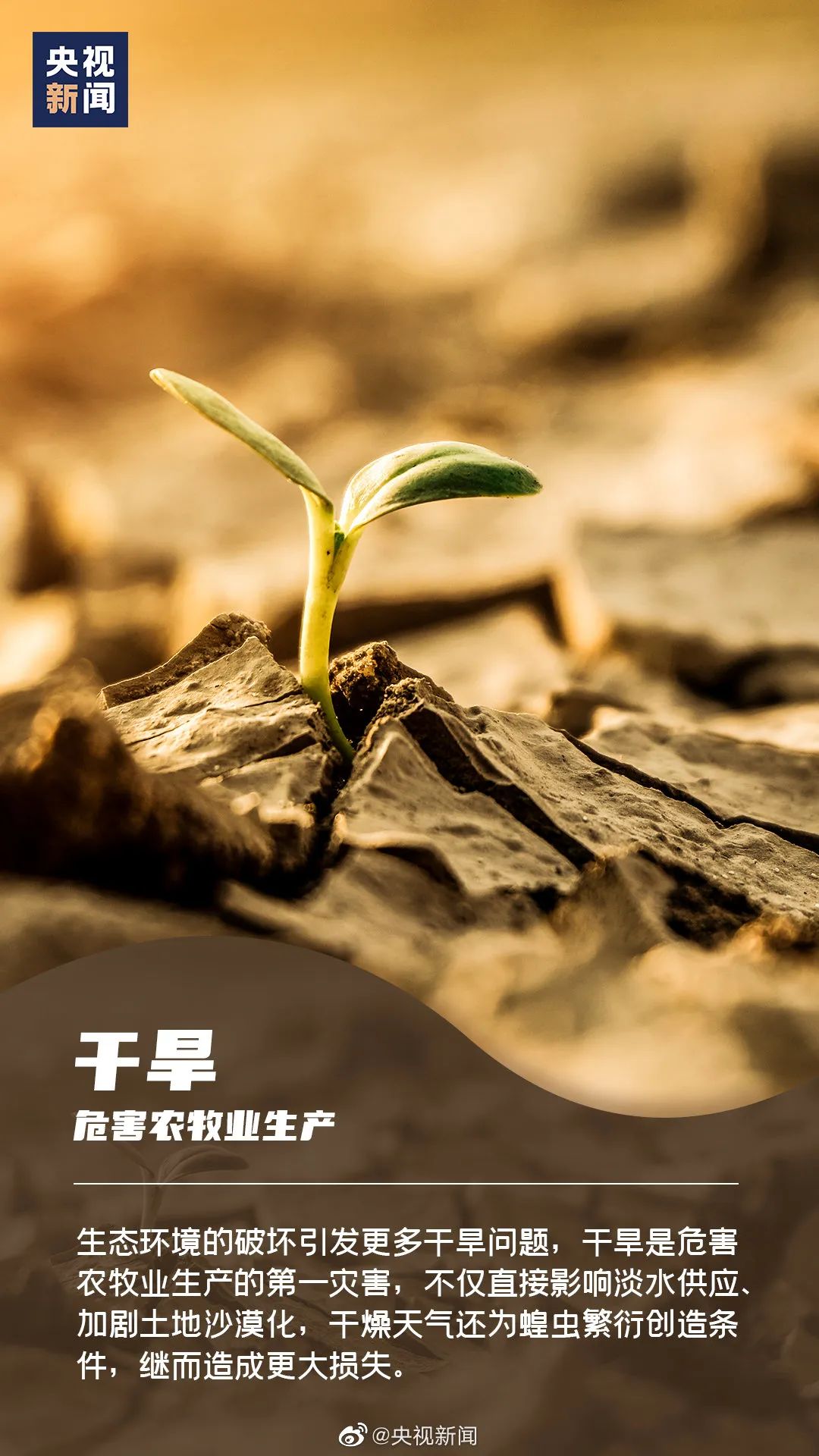 科学补硒 健康中国(科学补硒视频)-硒宝网