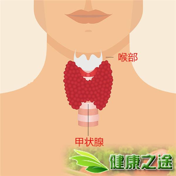 甲状腺结节补海藻硒（海藻补甲状腺结节硒片能吃吗）-硒宝网