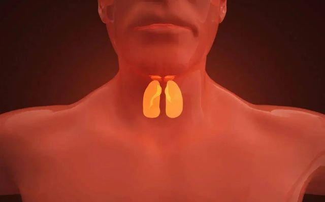 甲状腺结节补海藻硒（海藻补甲状腺结节硒片能吃吗）-硒宝网