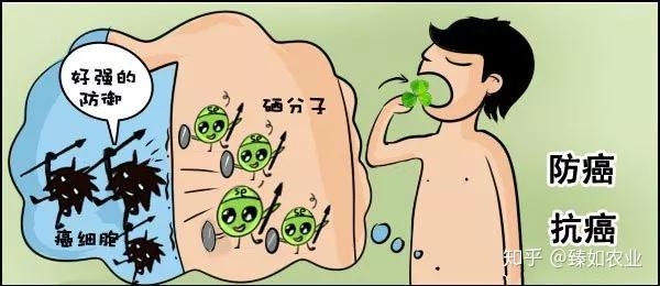 人体补200微克硒(人体补微克硒200克多少钱)-硒宝网