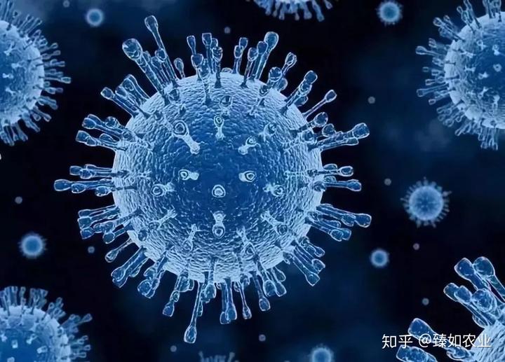 人体补200微克硒(人体补微克硒200克多少钱)-硒宝网