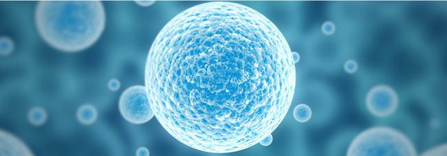 200微克硒怎么补(补硒多少微克)-硒宝网