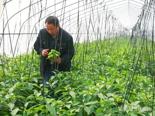 微量元素铜偏高怎么办（微量元素铜高）-硒宝网