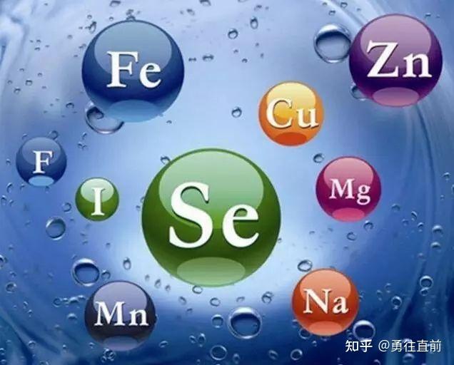 微量元素铜偏高怎么办（微量元素铜高）-硒宝网