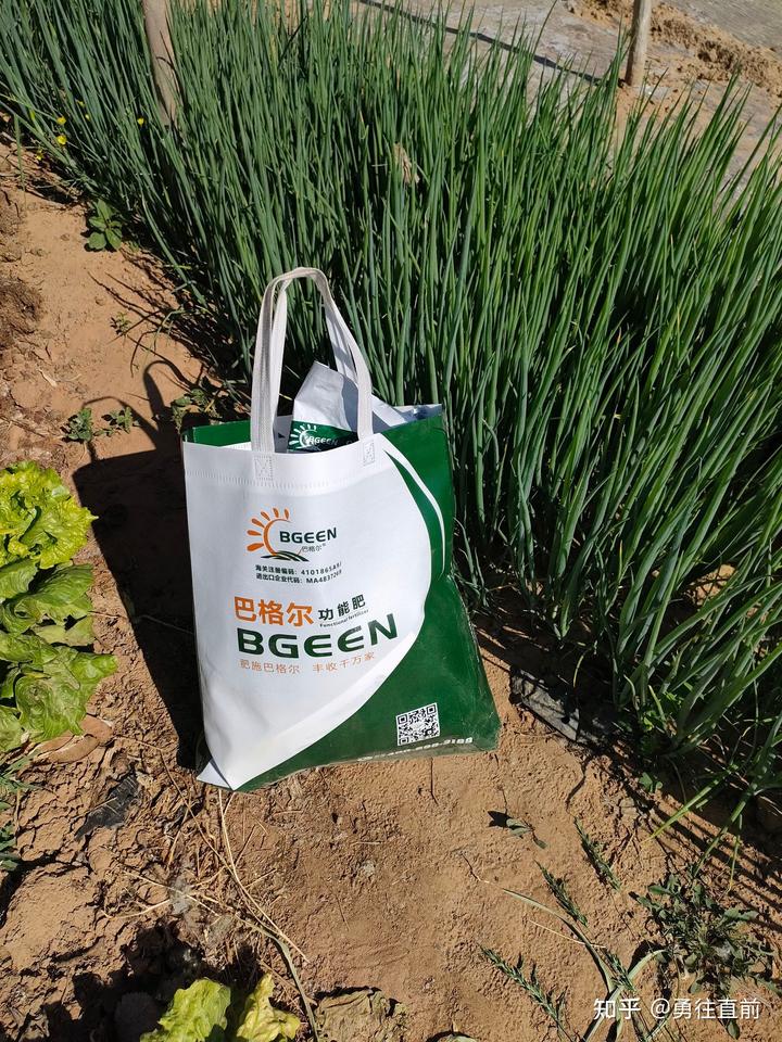 微量元素铜偏高怎么办（微量元素铜高）-硒宝网