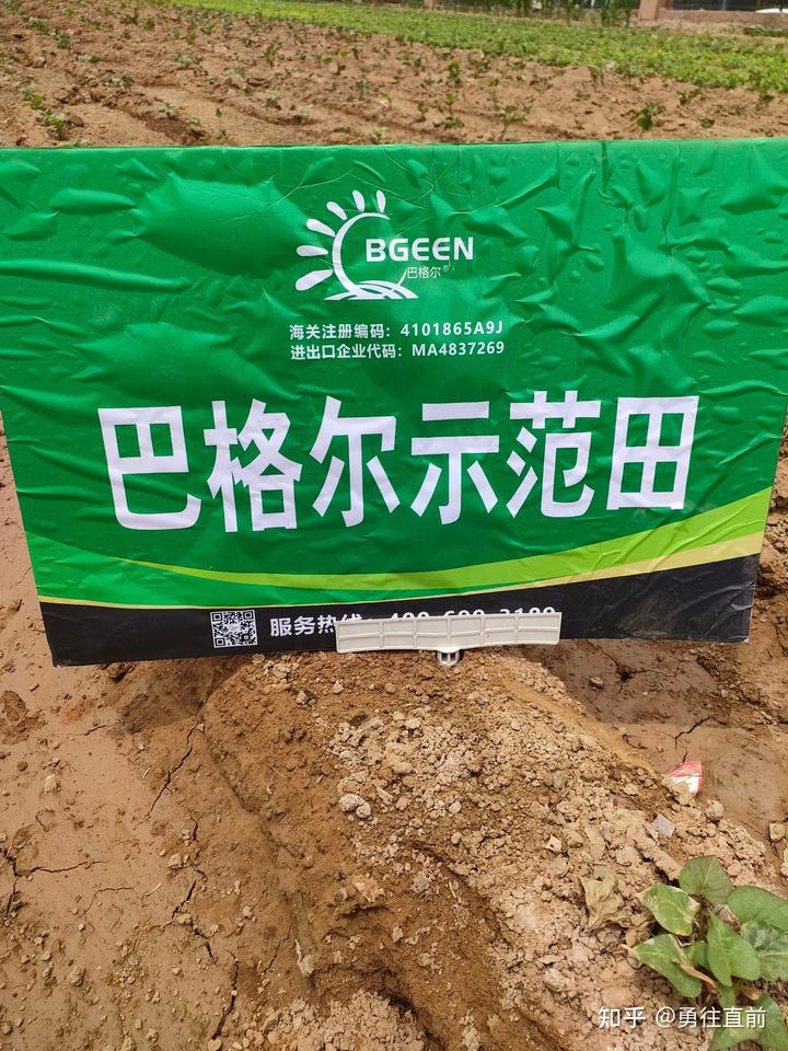 微量元素铜偏高怎么办（微量元素铜高）-硒宝网