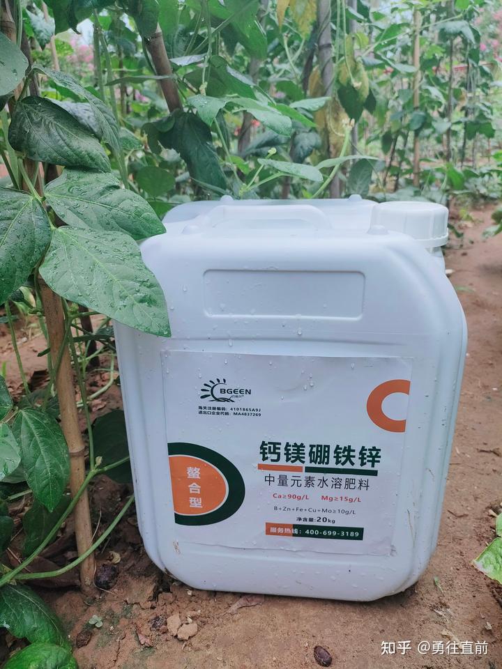 微量元素铜偏高怎么办（微量元素铜高）-硒宝网