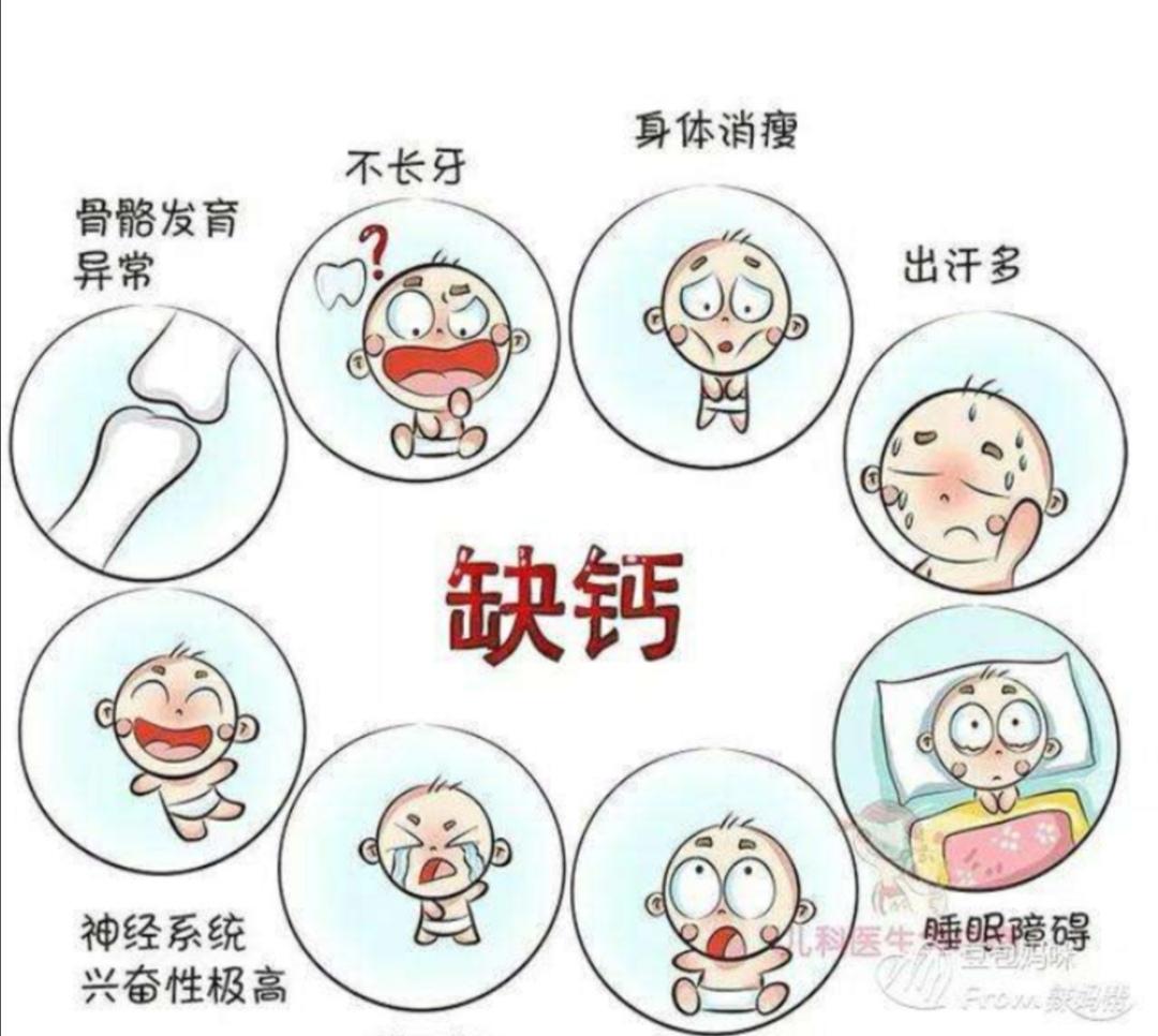 补钙的药有哪些(药补钙片)-硒宝网