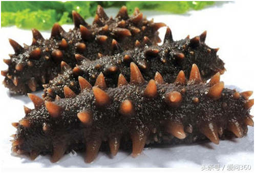 补钙的药有哪些(补钙的药有副作用吗)-硒宝网