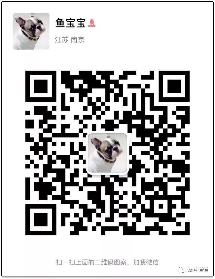 狗狗吃什么补钙最快（狗狗补钙吃钙片还是软骨素好）-硒宝网