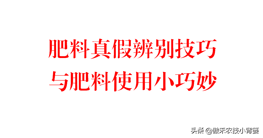 补镁不用补硒可以吗(镁硒怎么读)-硒宝网