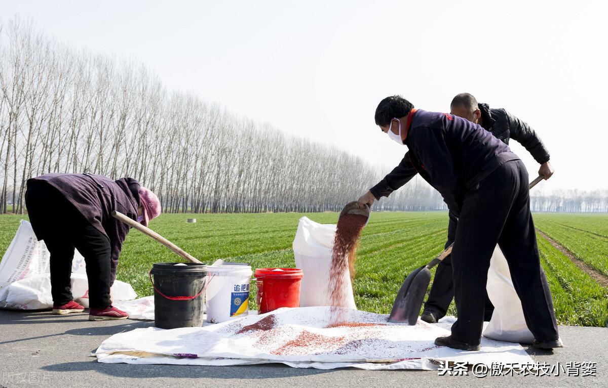 补镁不用补硒可以吗(镁硒怎么读)-硒宝网